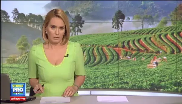 Scolile din Romania se confrunta cu un nou fenomen. Dramele prin care trec copiii muncitorilor romani, intorsi in tara