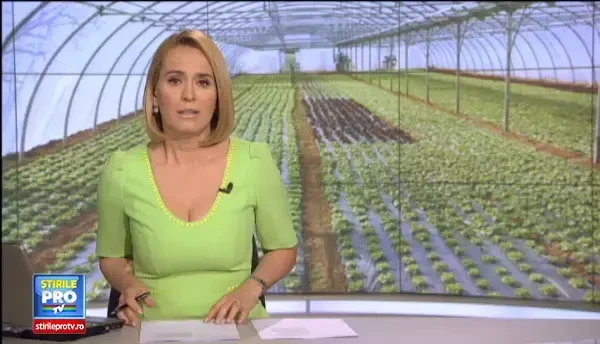 Afacerile online cu verdeturi au tot mai mult succes. Fermierii mizeaza pe romanii care vor sa manance sanatos