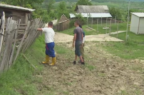 Alerta intr-o comuna din Dambovita, dupa ce un urs a patruns in gospodaria unui localnic. Masurile luate de autoritati