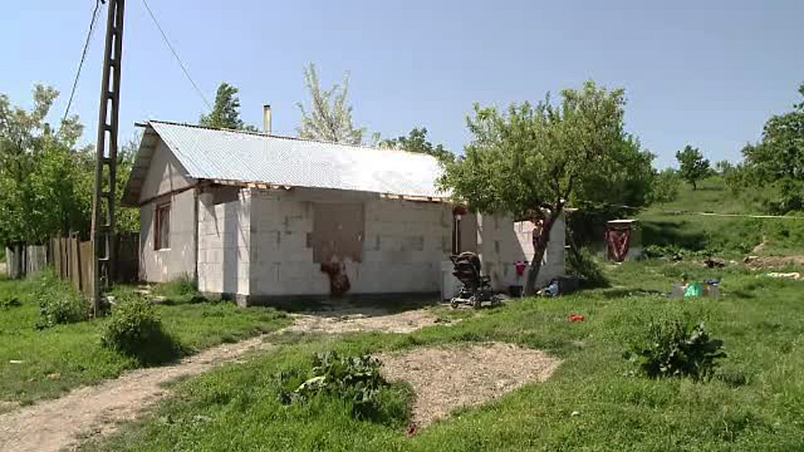 Vrea sa-si dea copiii la orfelinat de teama ca fratele ei ii va ucide. "Se uita la desene, l-a luat si l-a izbit de perete"