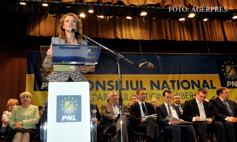 Liderii PNL se apara reciproc de acuzatii. Gorghiu: "Sunt detalii nesemnificative in proiectul complex al partidului"