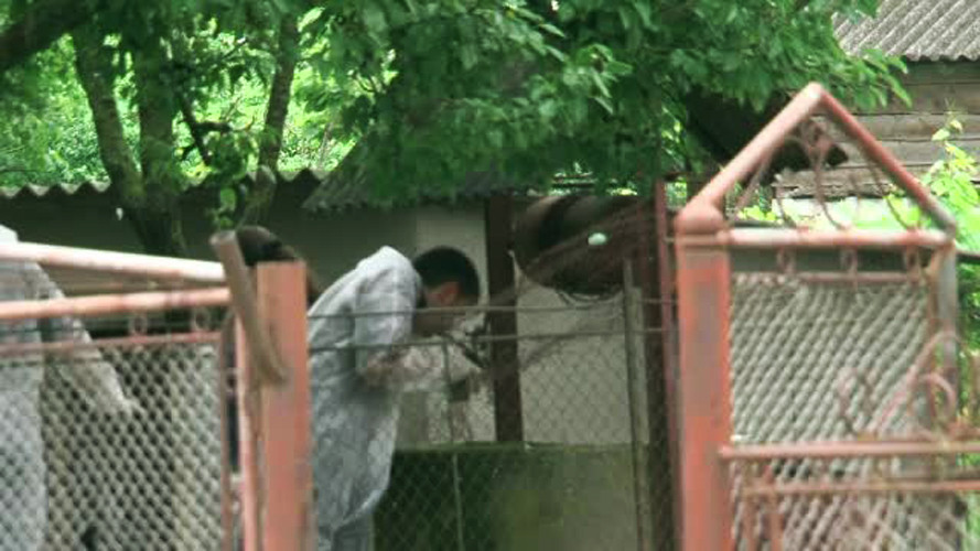 Crima oribila intr-o comuna din Satu Mare: si-a ucis tatal si si-a rastignit mama. Ce au gasit politistii in fantana