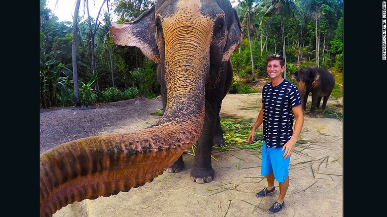 Uitati de banalele selfie-uri! Acum se poarta "elphie" - fotografia facuta de un elefant