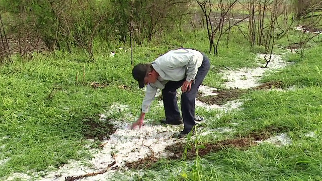 Gradini distruse si masini avariate in judetele Caras-Severin si Mures. A plouat cu gheata de marimea unui ou de porumbel