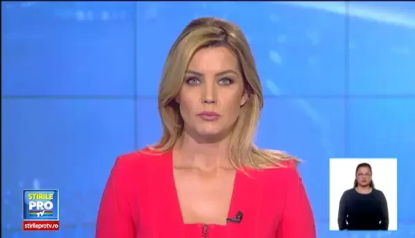 Fosta sotie a lui Cristi Borcea ar putea ajunge la DNA. Asociatii Mihaelei, cercetati pentru fraude cu fonduri europene