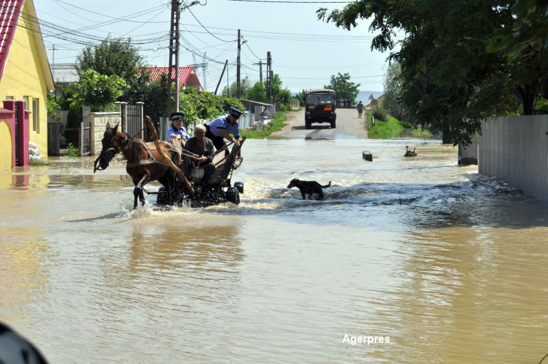 Dezastru in nordul tarii din cauza ploilor torentiale: case avariate, animale inecate, culturi distruse si drumuri inundate