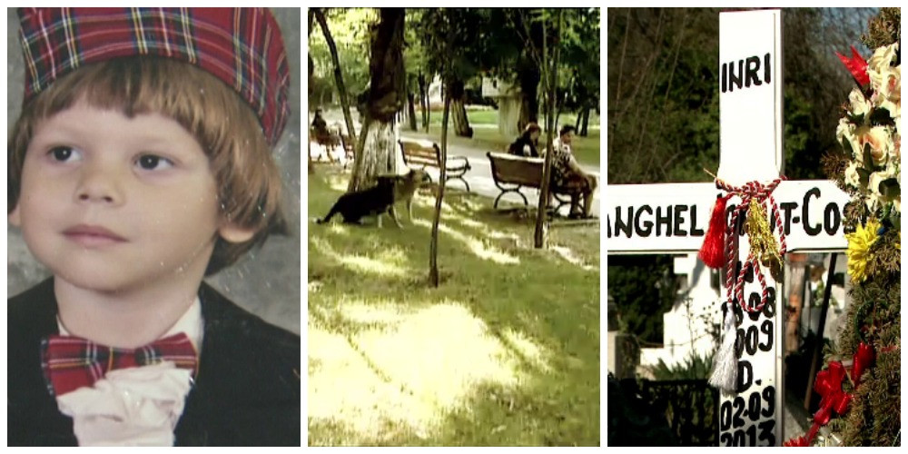 Familia copilului ucis de maidanezi in Parcul Tei, despagubita cu 2,4 milioane de EURO. Prima reactie a tatalui