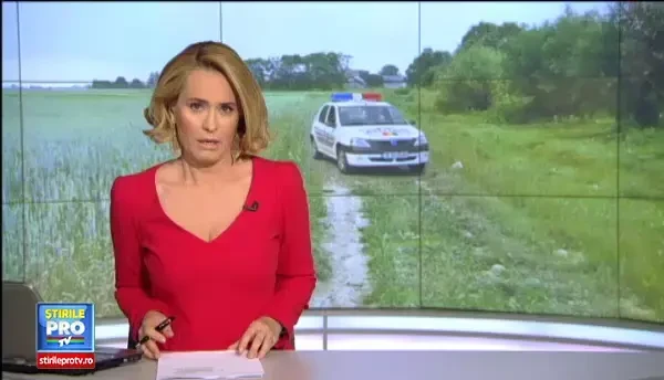 Moartea copilului mancat de maidanezi in Parcul Tei, despagubita cu 2,4 milioane de EURO. Prima reactie a tatalui