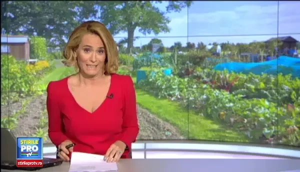 Sistemul simplu prin care tu iti culegi singur leguma din gradina sau livada. Ce au de castigat si cumparatorul, si fermierul