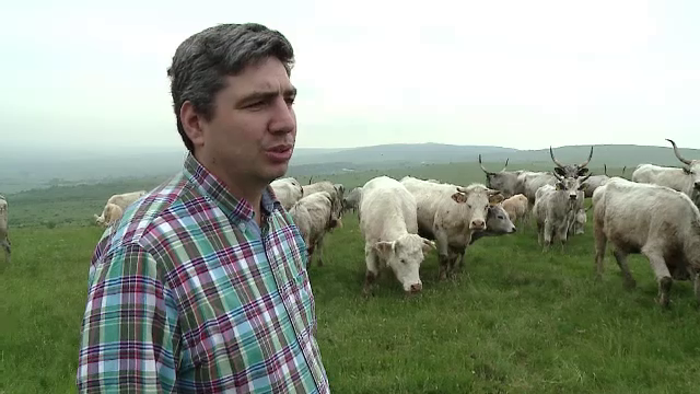 Decizia luata de tot mai multi fermieri din tara. Cheia succesului pentru "carnea" ajunsa celebra in Europa si Asia