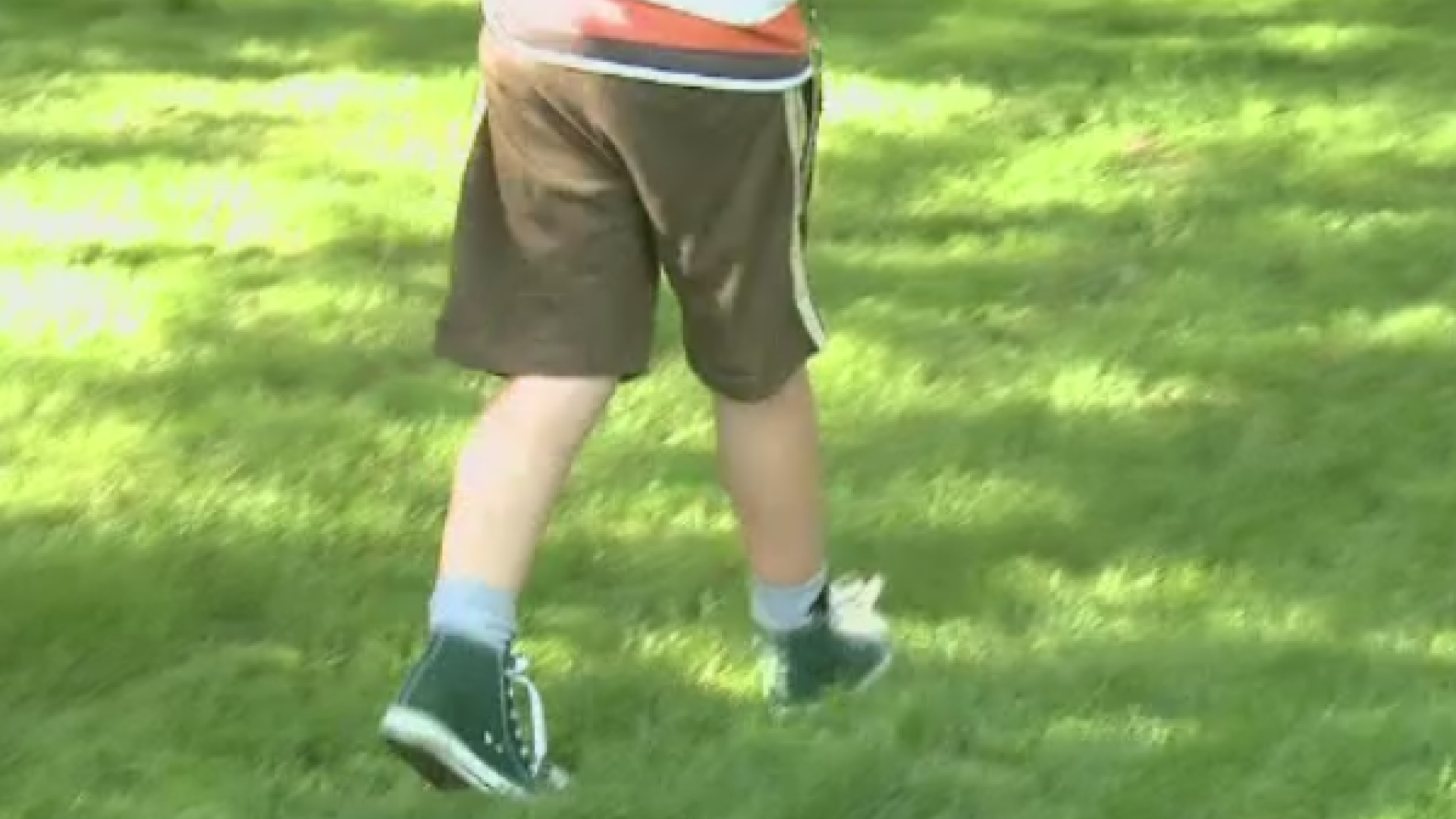 Baiat de 8 ani, la spital dupa ce a fost muscat de un pui de vipera, in timp ce se plimba intr-o padure din Neamt