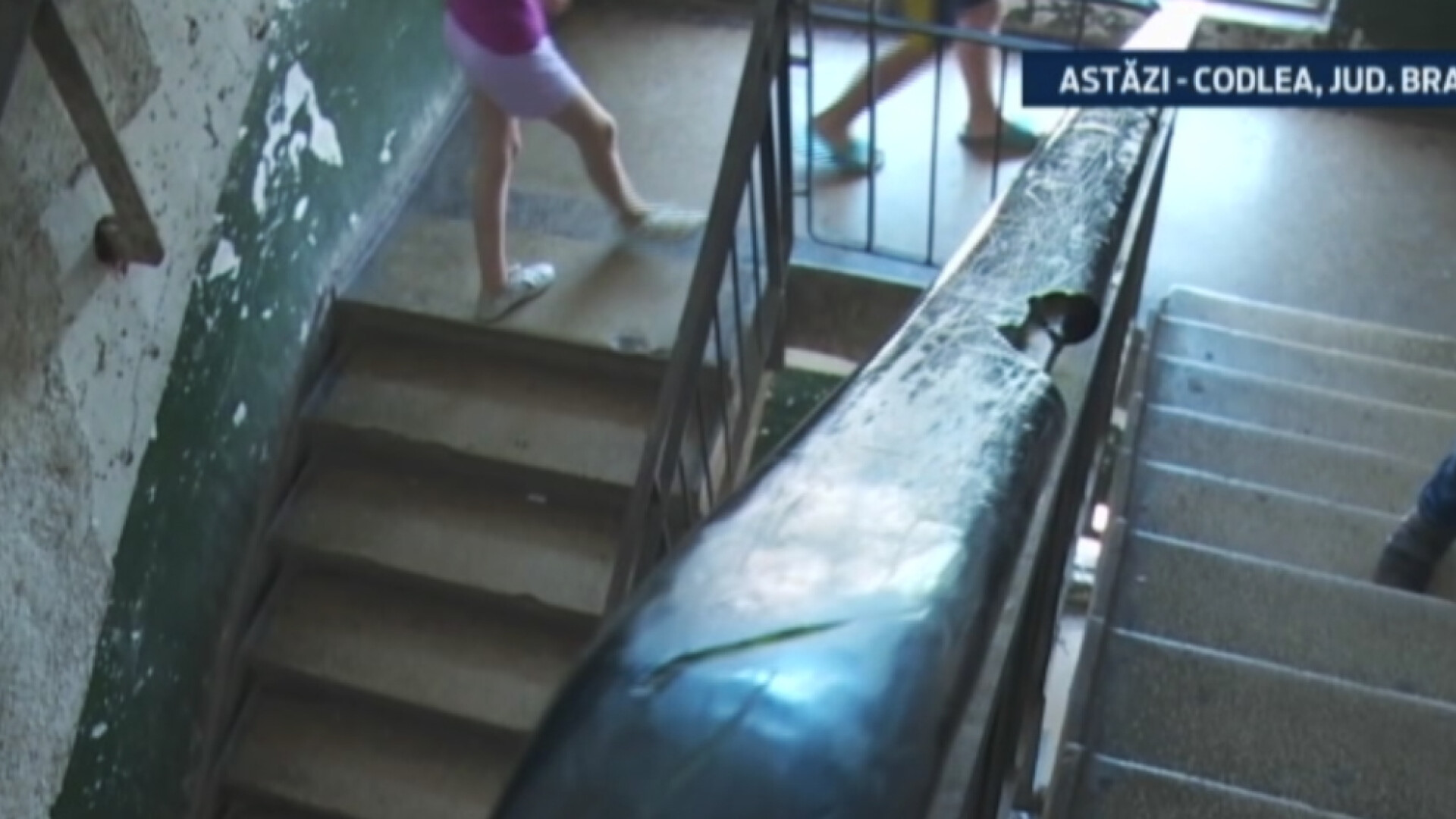 Un copil a cazut printre scari de la etajul 3 al unui bloc din Codlea. De ce mama sa nu a reusit sa il supravegheze
