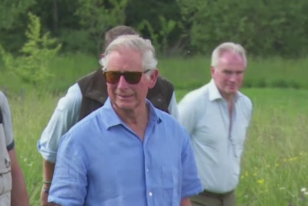 Printul Charles isi lanseaza marti propria fundatie in Romania. Obiectivele organizatiei "Printul de Wales" de la Viscri