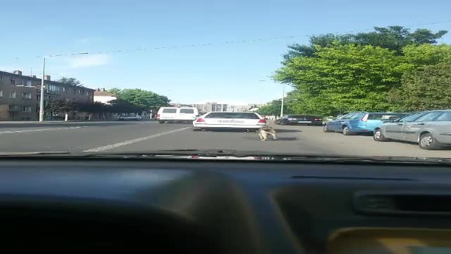 Si-a legat cainele de masina si a plecat pe strazile din Targu Mures. Scena de cosmar, filmata de o camera de bord. VIDEO
