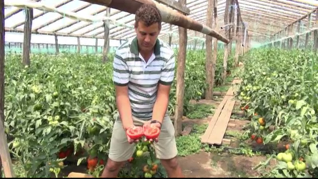 Satul din Galati unde strainii stau la coada sa cumpere legume. Zeci de tiruri pleaca zilnic spre alte tari din Europa