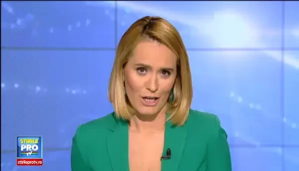 Boss, pisica norocoasa care a devenit director intr-o companie din Bucuresti. Ce salariu ia pentru a lenevi zilnic la birou