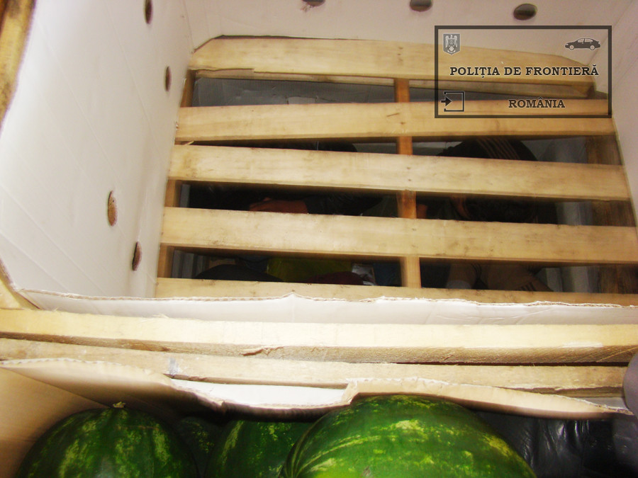 Ce au gasit politistii de frontiera de la Calafat intr-un camion cu pepeni. Soferul habar nu avea ce transporta. VIDEO
