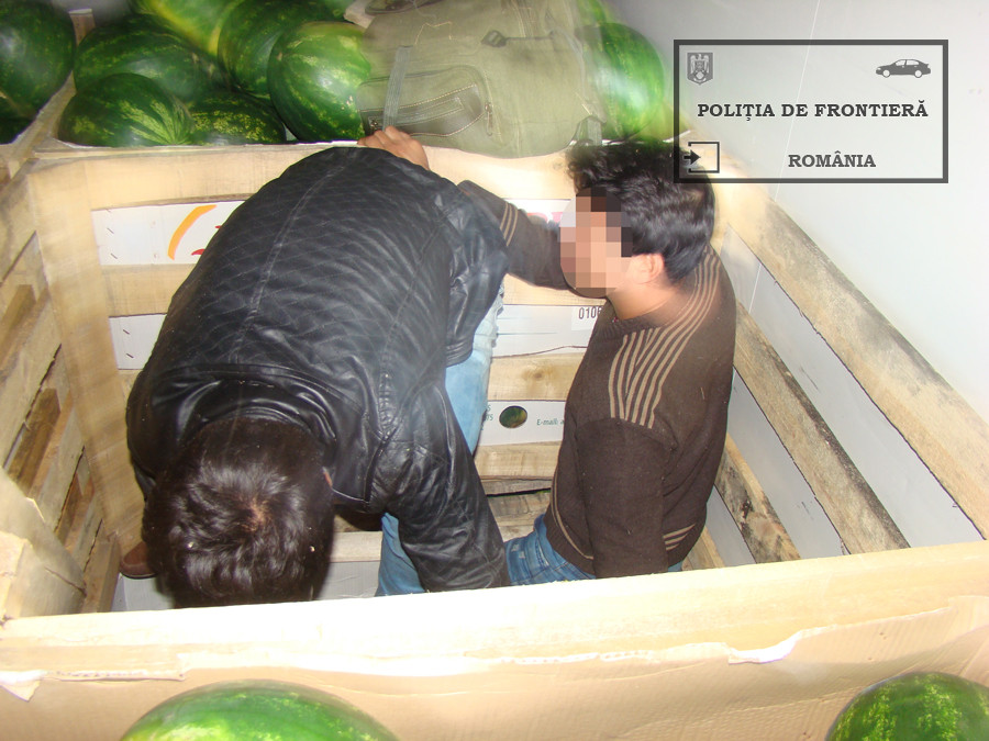 afgani in camionul cu pepeni