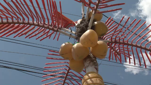 Paradisul exotic din Olt: sat fara apa si canalizare, dar cu palmieri de plastic. Investitiile aberante nu se opresc aici