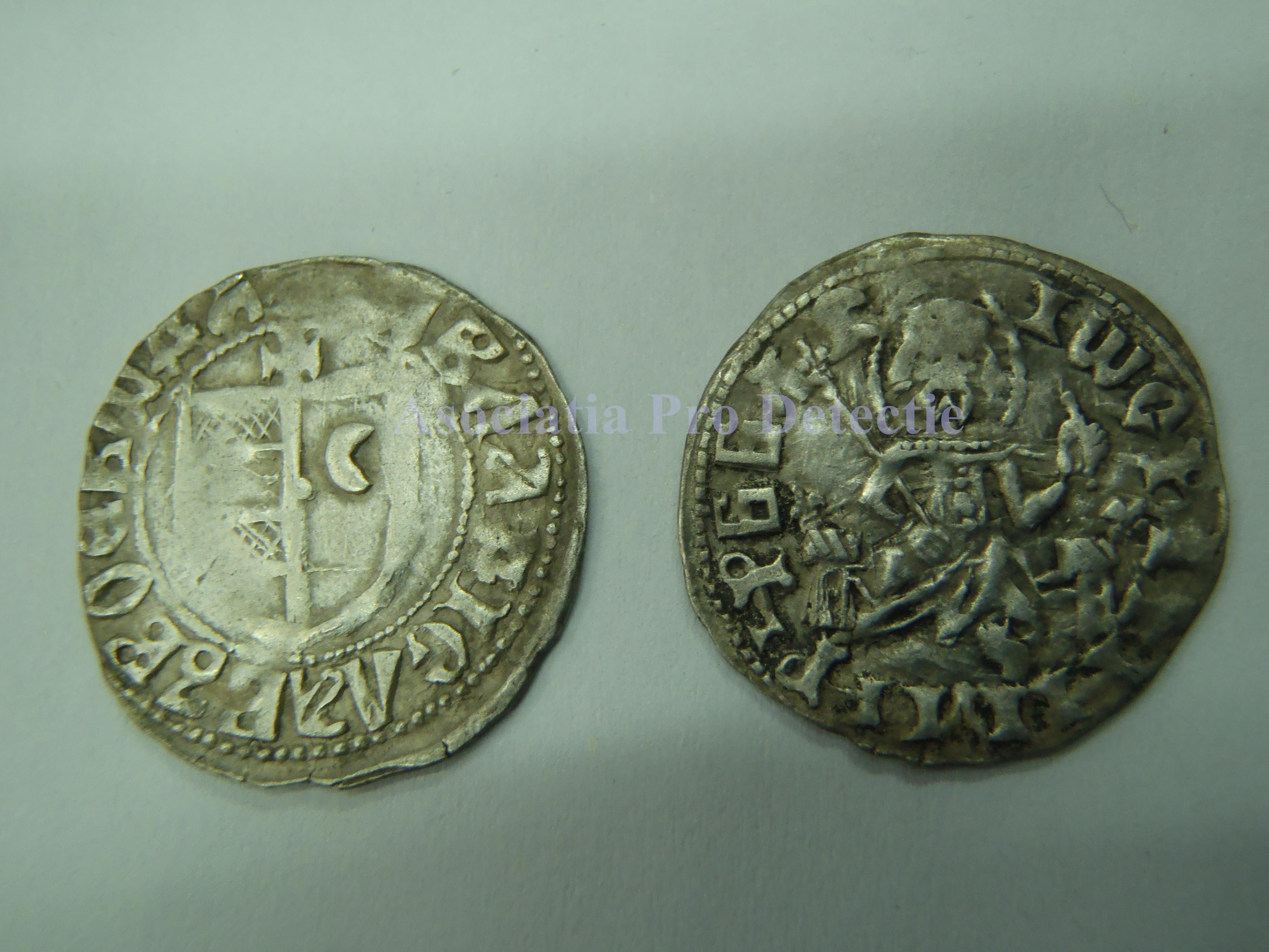 Peste 500 de monede din perioada lui Mircea cel Batran, descoperite intr-o padure din Dambovita. Cine a intrat in posesia lor