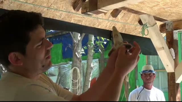 Specialistii romani lanseaza inca un avertisment. Patru specii de pesti sunt amenintate cu disparitia din cauza braconierilor