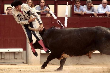 Groaza in timpul unei coride, la Madrid: Un toreador a ramas fara un testicul dupa ce taurul l-a strapuns cu cornul. VIDEO