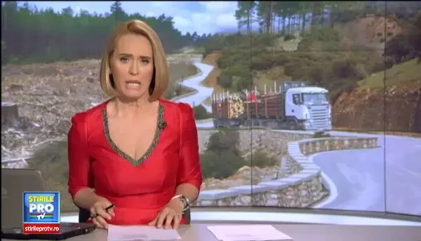 Ciprian a sunat la 112 sa salveze padurea si s-a ales cu o amenda de 1.000 de lei. Povestea din spatele taxei pe fapte bune