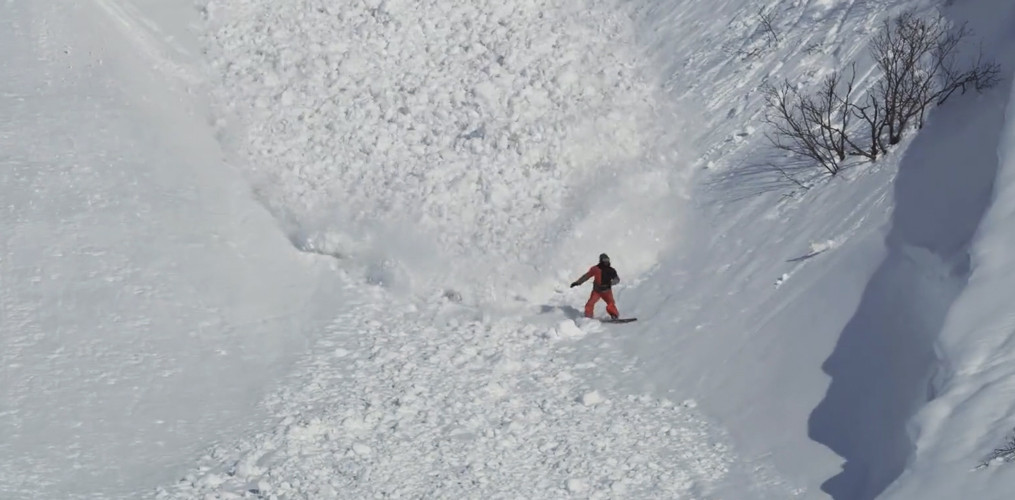 Un iepure din Rusia a invins furia naturii. "Super-urecheatul" din Kamceatka a trecut nevatamat printr-o avalansa