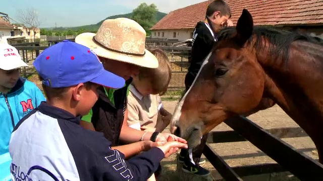 Vacante fara tablete si telefoane mobile. Cat costa o tabara la ferme, pentru copiii care nu au experimentat viata la tara