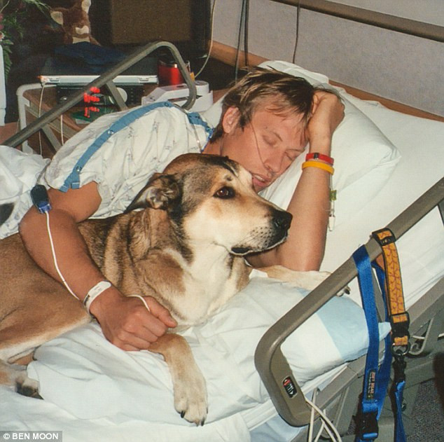 Povestea lor e incredibila: un caine a murit de cancer dupa ce un deceniu a stat langa stapanul sau, si el bolnav de cancer