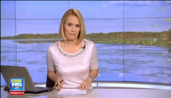 Spectacol al naturii pe raul Mures. Mii de fluturi ies in acelasi timp deasupra apei si isi traiesc cele cateva ore de viata