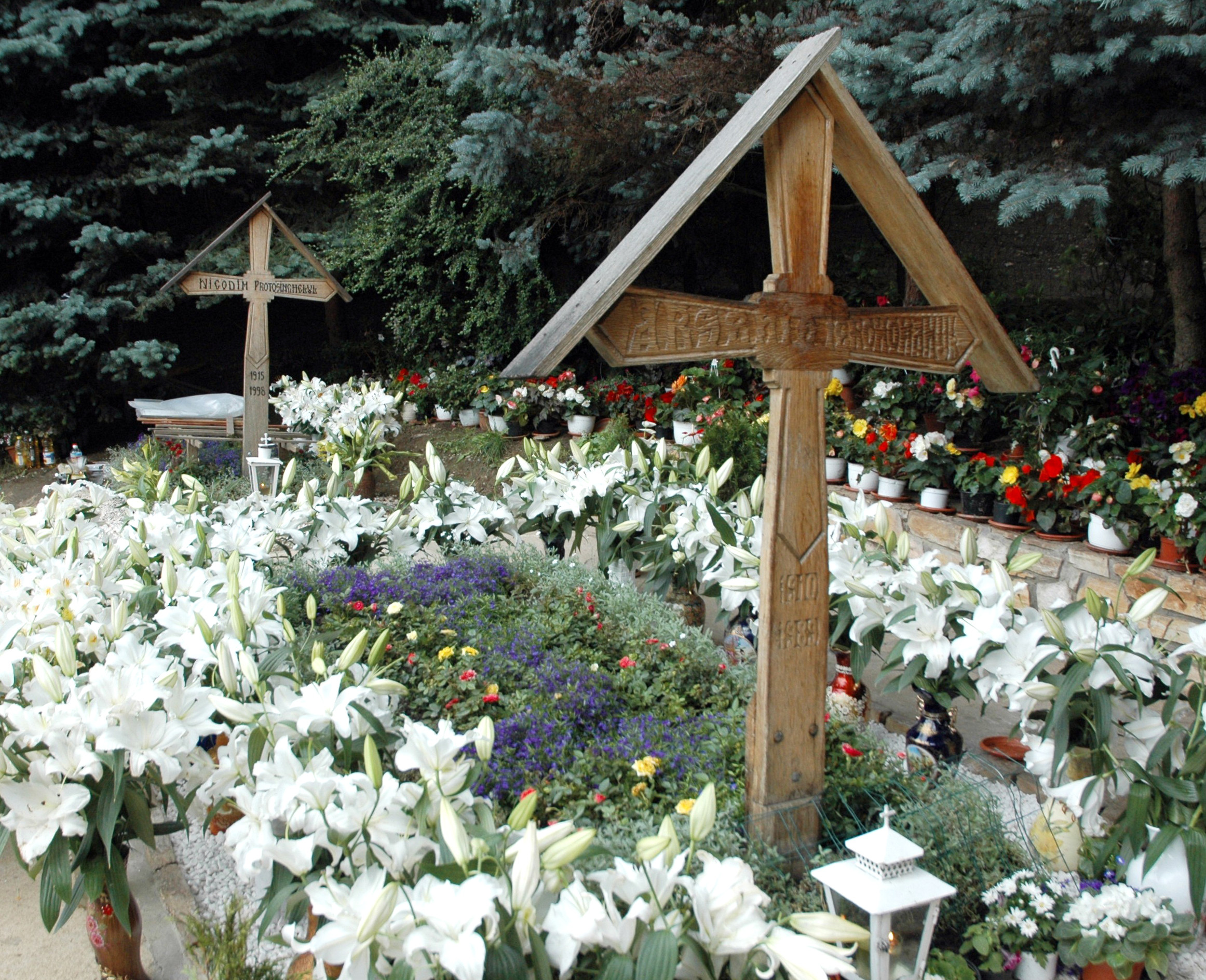 Barbatul retinut pentru ca a profanat mormantul lui Arsenie Boca si-a premeditat gestul. Ce explicatie a dat politistilor