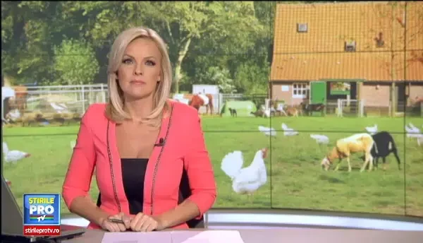 Vacante fara tablete si telefoane mobile. Cat costa o tabara la ferme, pentru copiii care nu au experimentat viata la tara