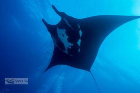 Doi fotografi romani in atentia presei internationale: "Am fost impresionati de ce am gasit acolo"