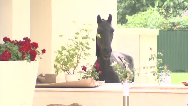 Explicatia lui Traian Basescu pentru calul, ursul si vaca din curtea noii sale vile din Primaverii