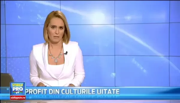 Ce amenda ar putea primi fostul ministru Ioan Rus, dupa declaratiile socante privind familiile romanilor din diaspora