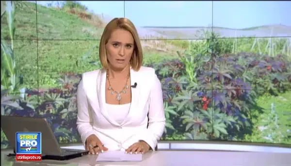 Planta minune care ii aduce unui clujean 20.000 de euro la fiecare hectar. Culturile de pe vremea comunismului, redescoperite