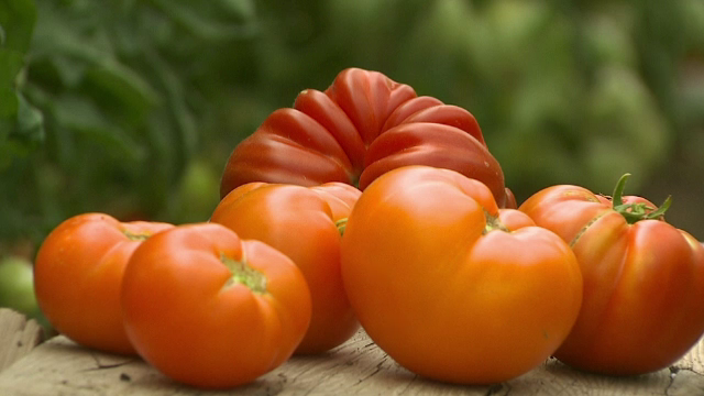 Cum iti dai seama daca rosiile de la piata au gust sau nu. Secretul, dezvaluit de agricultori