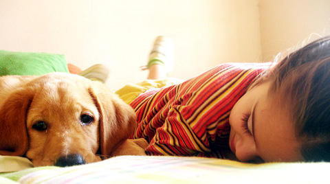 Ce s-a aflat despre animale. Descoperirile oamenilor de stiinta sunt suprinzatoare