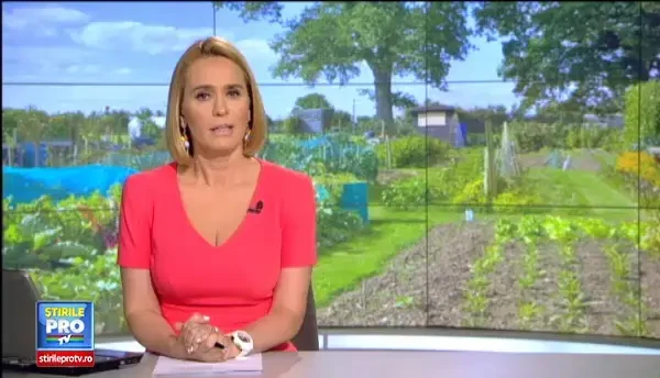 Judetul din Romania in care castravetii au ajuns sa fie aruncati in camp pentru ca fermierii nu au unde sa ii vanda