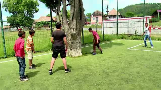 Solutia gasita de autoritati in cazul terenului de fotbal construit in jurul unui copac. "Primarul zice ca nu il poate taia"