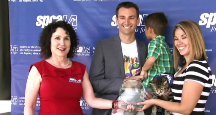 Ce s-a intamplat cu pisicuta care a salvat un copil din coltii dulaului vecinilor. Masura luata de iubitorii de caini