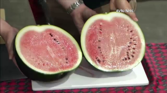 Cei mai scumpi pepeni din lume. Motivul pentru care japonezii scot din buzunar mii de dolari pentru a-i savura