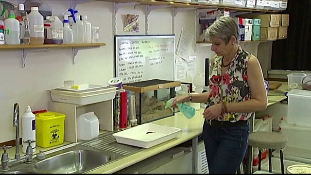 Materialul impermeabil care se curata singur si rezista la murdarie. Descoperirea care ar putea schimba modul cum ne imbracam