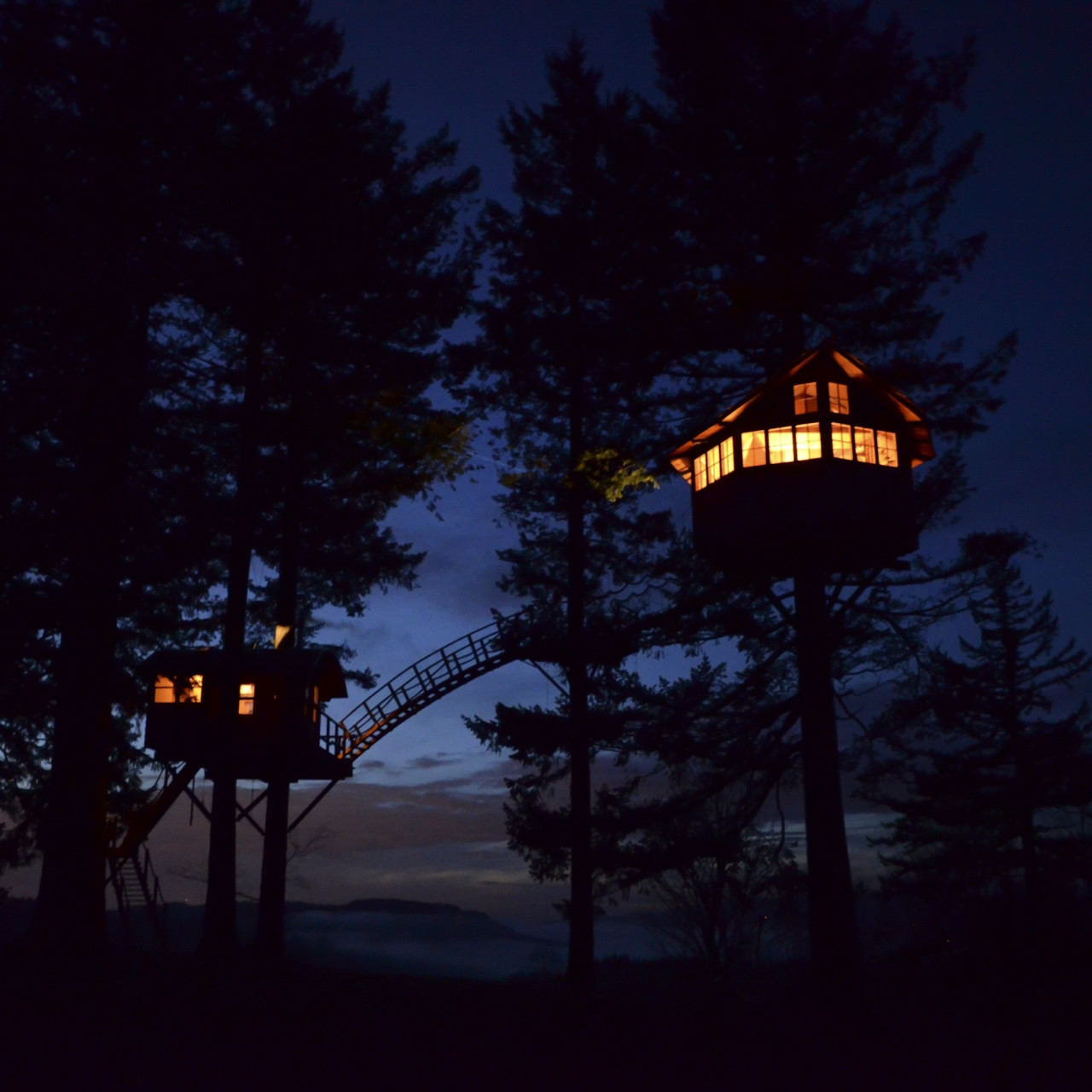 A renuntat la un job de vis ca sa se mute in padure. Cum arata casa din copac pe care si-a construit-o un tanar din America