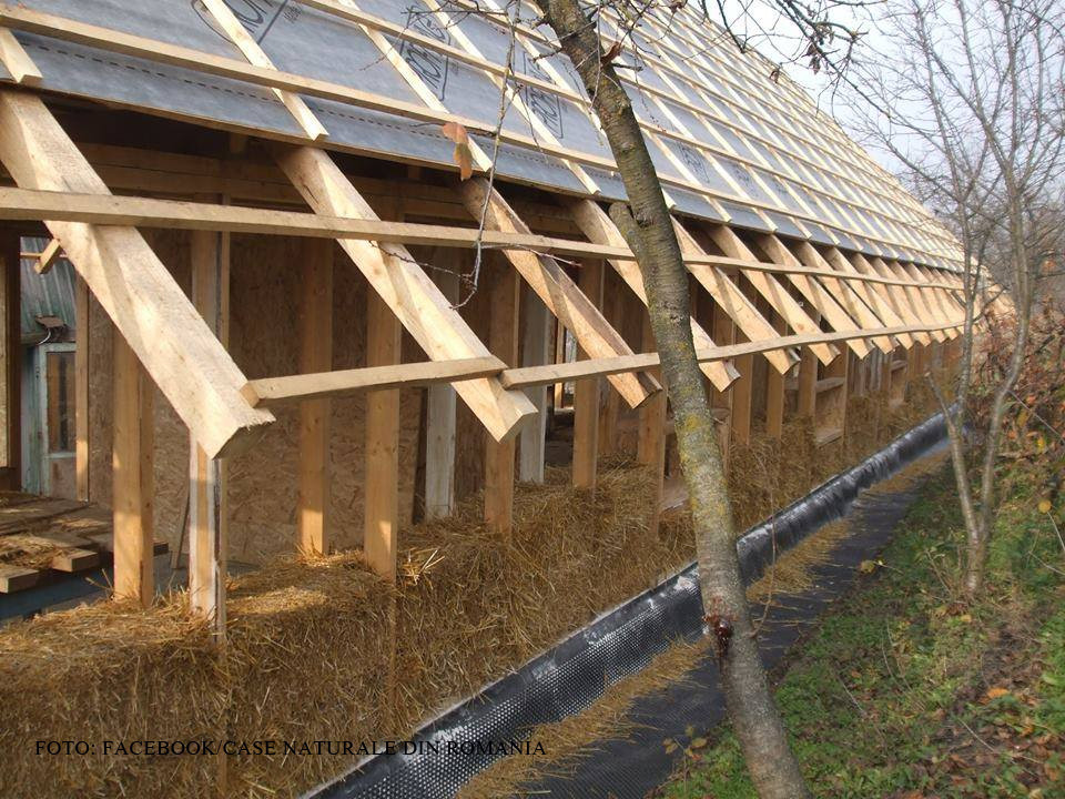 Case din paie, lana sau PET-uri, la jumatate de pret fata de cele obisnuite. "Modelul a plecat de la casuta piticilor"