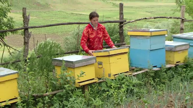 Proiectul prin care familiile sarace din Vaslui si-au construit mici afaceri. Cati bani au ajuns sa castige pe an