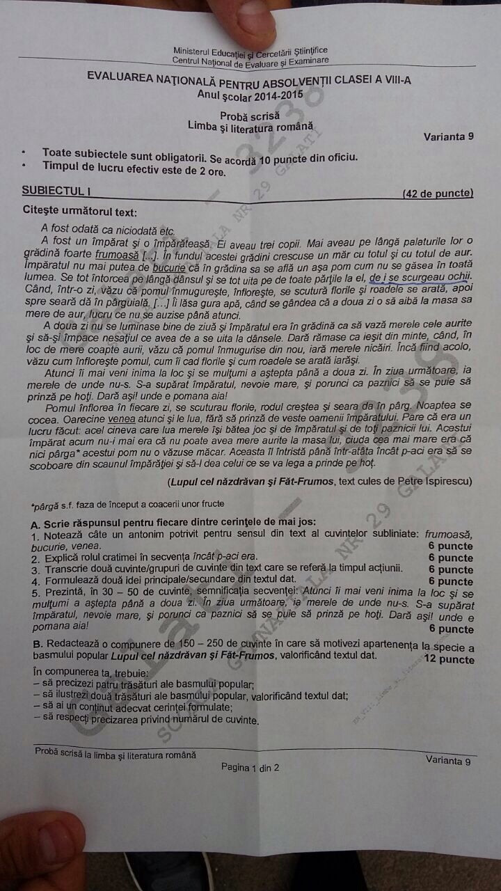 evaluare nationala 2015 limba romana