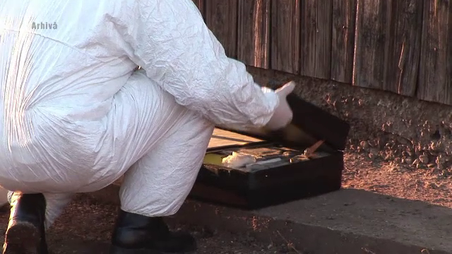 Profesoara de franceza gasita moarta in propria casa ar fi fost atacata de un vecin. Barbatul sufera de schizofrenie