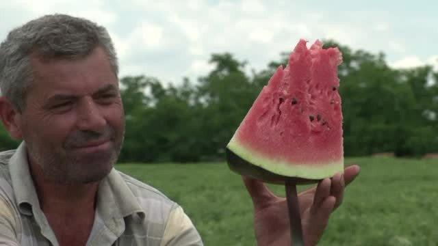 Producatorii din Dabuleni, in lupta cu natura. Cum au fost salvati pepenii de grindina care a facut prapad in Vestul tarii
